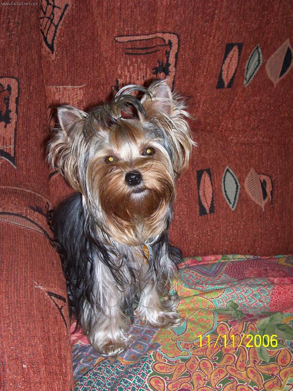 Foto: Bessy
